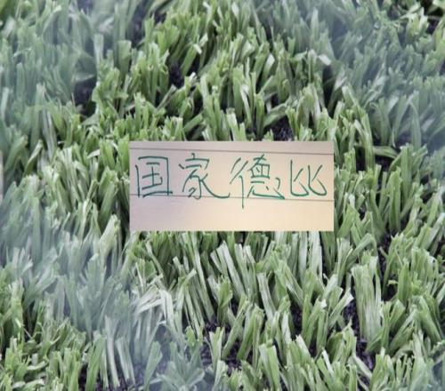 赛前紧急通,知茹萨缺阵,海港面临争,凯发娱乐官网,凯发娱乐H5官网入口,凯发娱乐网站,凯发娱乐官网娱乐,凯发娱乐H5登录入口