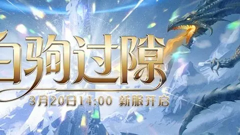大乐透期号专家质合分析推荐前区十码：新未来城体育VS哈森姆